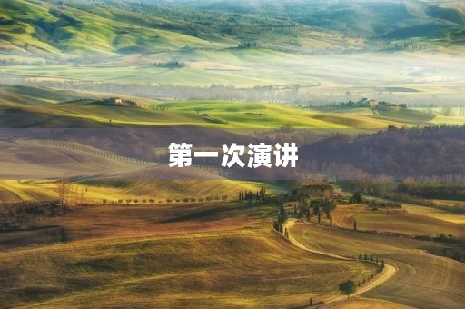 第一次演讲 第一次演讲