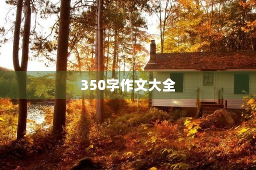 350字作文大全