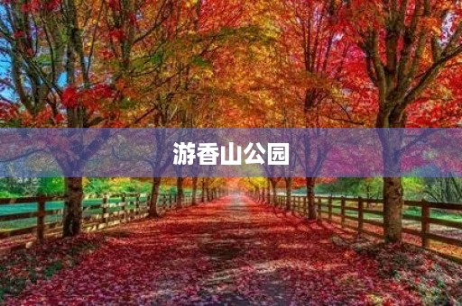 游香山公园 游香山公园