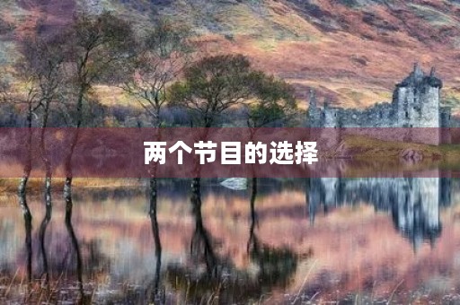 两个节目的选择 两个节目的选择