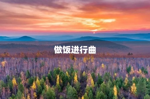 做饭进行曲 做饭进行曲