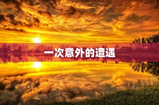 一次意外的遭遇 一次意外的遭遇