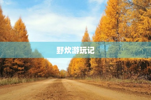 野炊游玩记 野炊游玩记