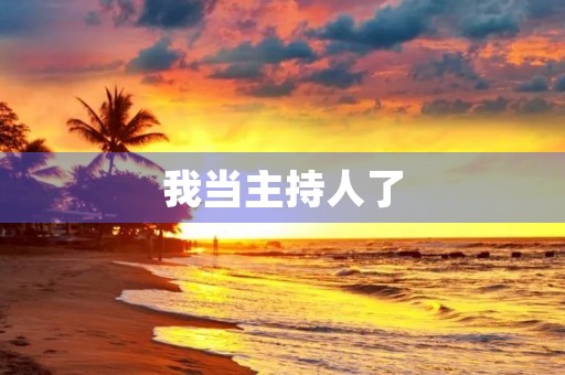 我当主持人了 我当主持人了
