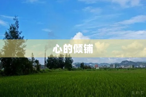 心的倾铺