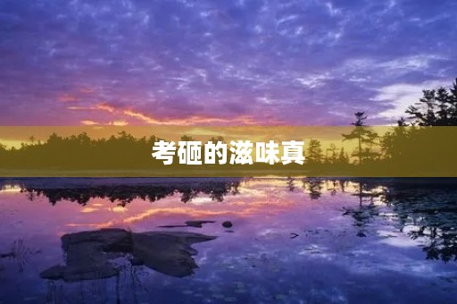 考砸的滋味真 考砸的滋味真