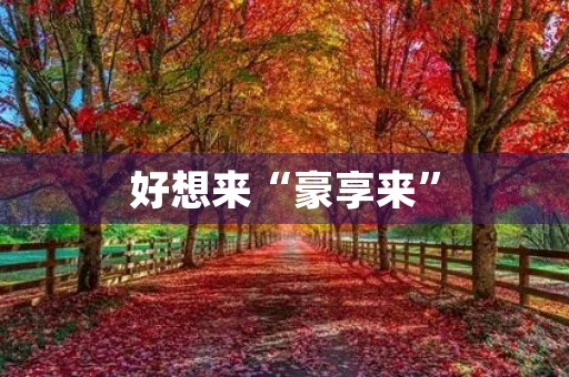 好想来“豪享来” 好想来“豪享来”