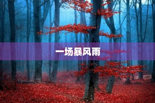 一场暴风雨 一场暴风雨