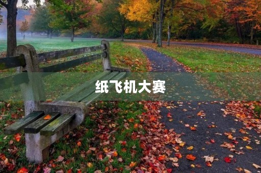 纸飞机大赛 纸飞机大赛