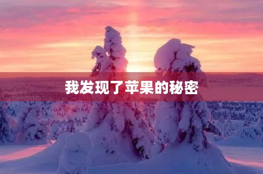 我发现了苹果的秘密 我发现了苹果的秘密