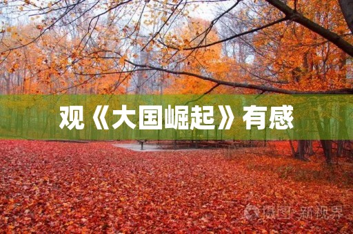 观《大国崛起》有感