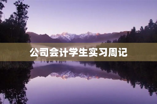 公司会计学生实习周记 公司会计学生实习周记