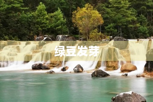 绿豆发芽