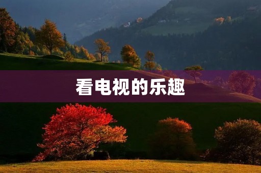 看电视的乐趣 看电视的乐趣