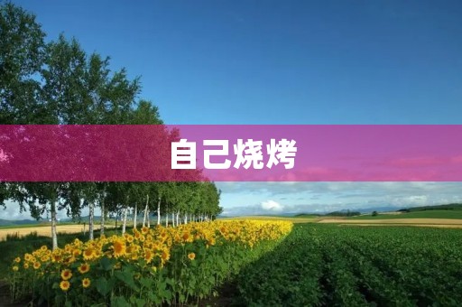 自己烧烤 自己烧烤