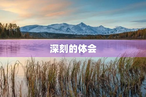 深刻的体会 深刻的体会