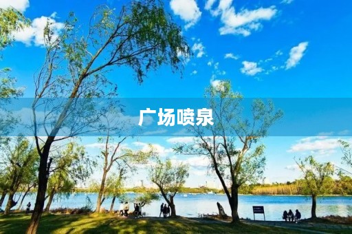 广场喷泉 广场喷泉