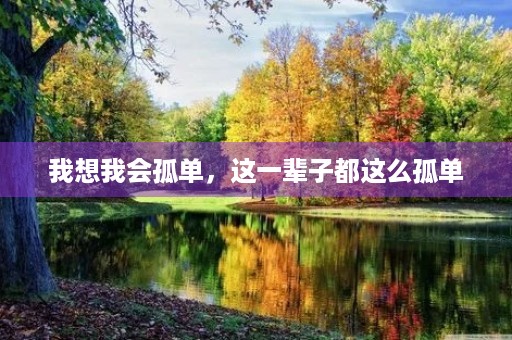 我想我会孤单,这一辈子都这么孤单 我想我会孤单,这一辈子都这么孤单