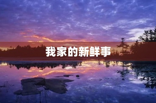 我家的新鲜事 我家的新鲜事