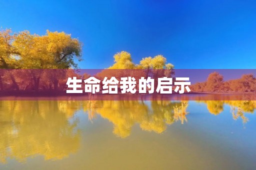 生命给我的启示 生命给我的启示