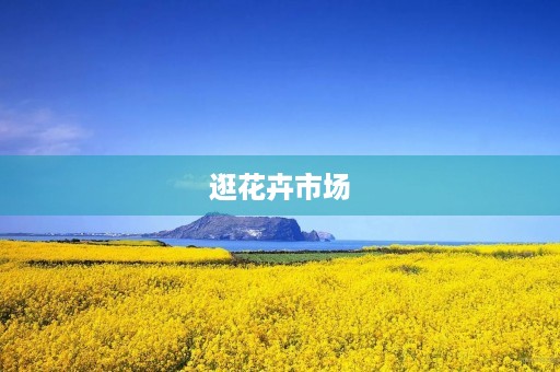 逛花卉市场 逛花卉市场