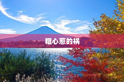 粗心惹的祸 粗心惹的祸