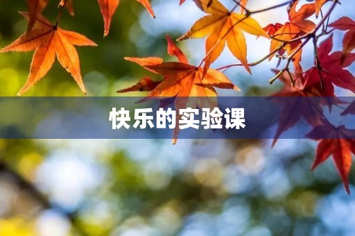 快乐的实验课 快乐的实验课