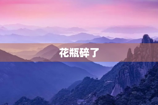 花瓶碎了 花瓶碎了