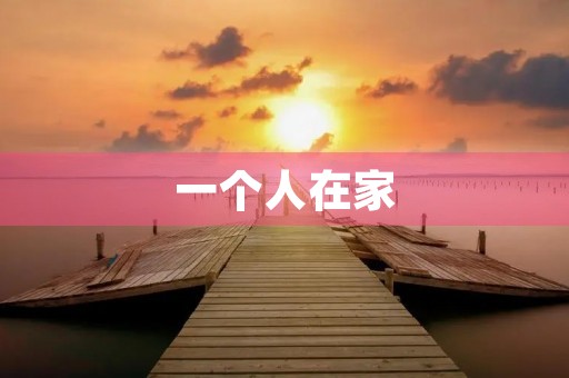 一个人在家 一个人在家