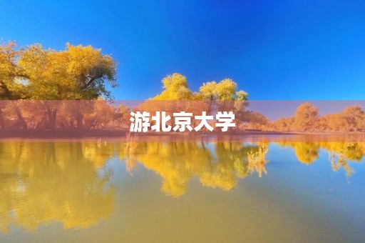 游北京大学