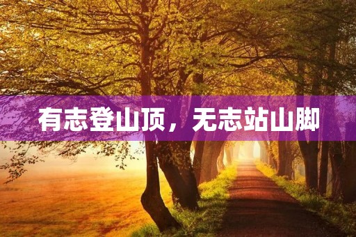 有志登山顶，无志站山脚