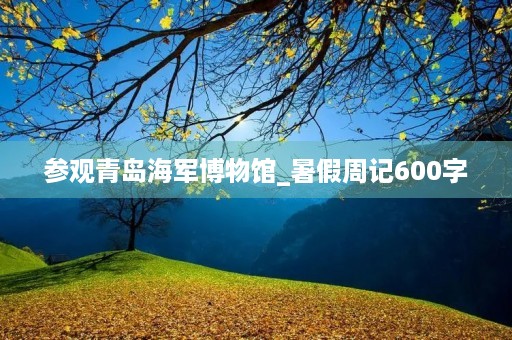 参观青岛海军博物馆_暑假周记600字