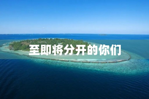 至即将分开的你们
