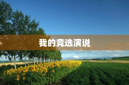 我的竞选演说