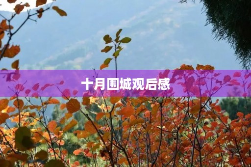 十月围城观后感 十月围城观后感