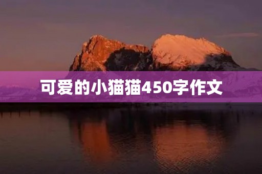 可爱的小猫猫450字作文 可爱的小猫猫450字作文