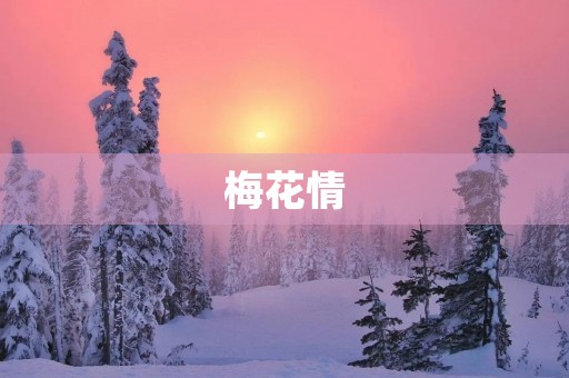梅花情 梅花情