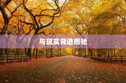 与现实背道而驰 与现实背道而驰