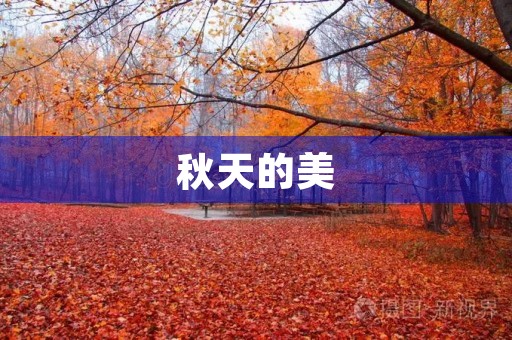 秋天的美