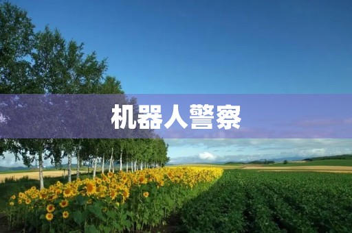 机器人警察 机器人警察