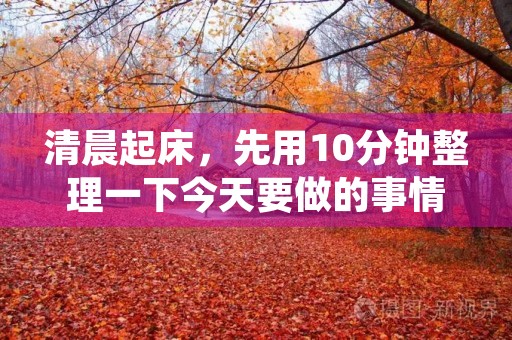 清晨起床,先用10分钟整理一下今天要做的事情 清晨起床,先用10分钟整理一下今天要做的事情