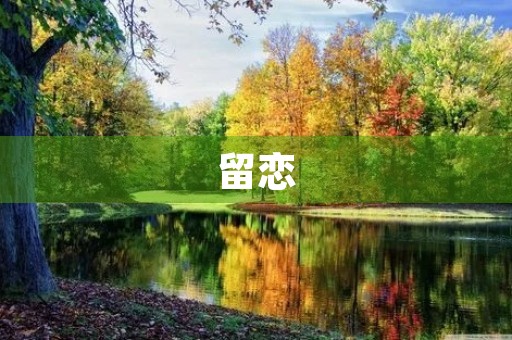 留恋 留恋