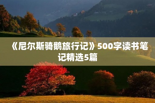 《尼尔斯骑鹅旅行记》500字读书笔记精选5篇