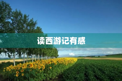 读西游记有感