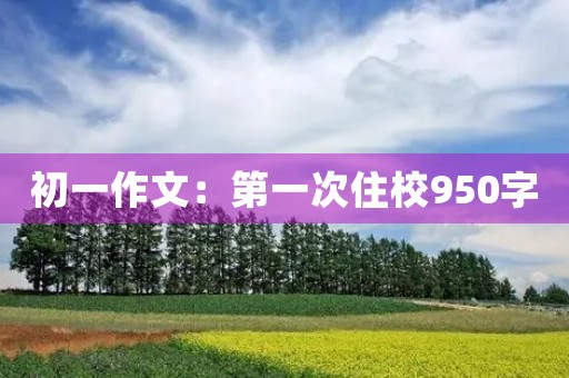 初一作文：第一次住校950字