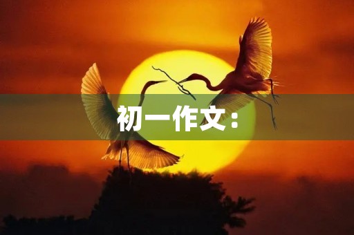 初一作文：【超新星初中组】朋友（二）