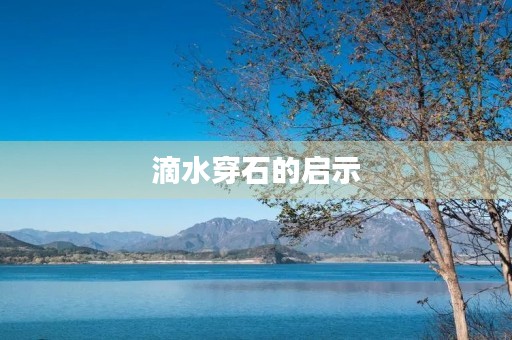 滴水穿石的启示 滴水穿石的启示