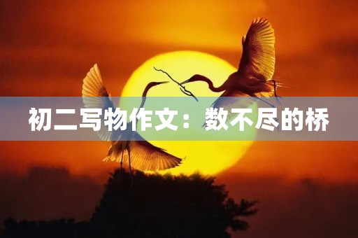 初二写物作文：数不尽的桥