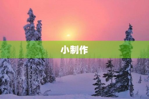 小制作 小制作