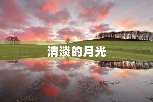 清淡的月光 清淡的月光